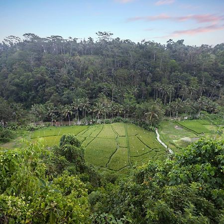 Black Penny Villas Ubud Exteriör bild
