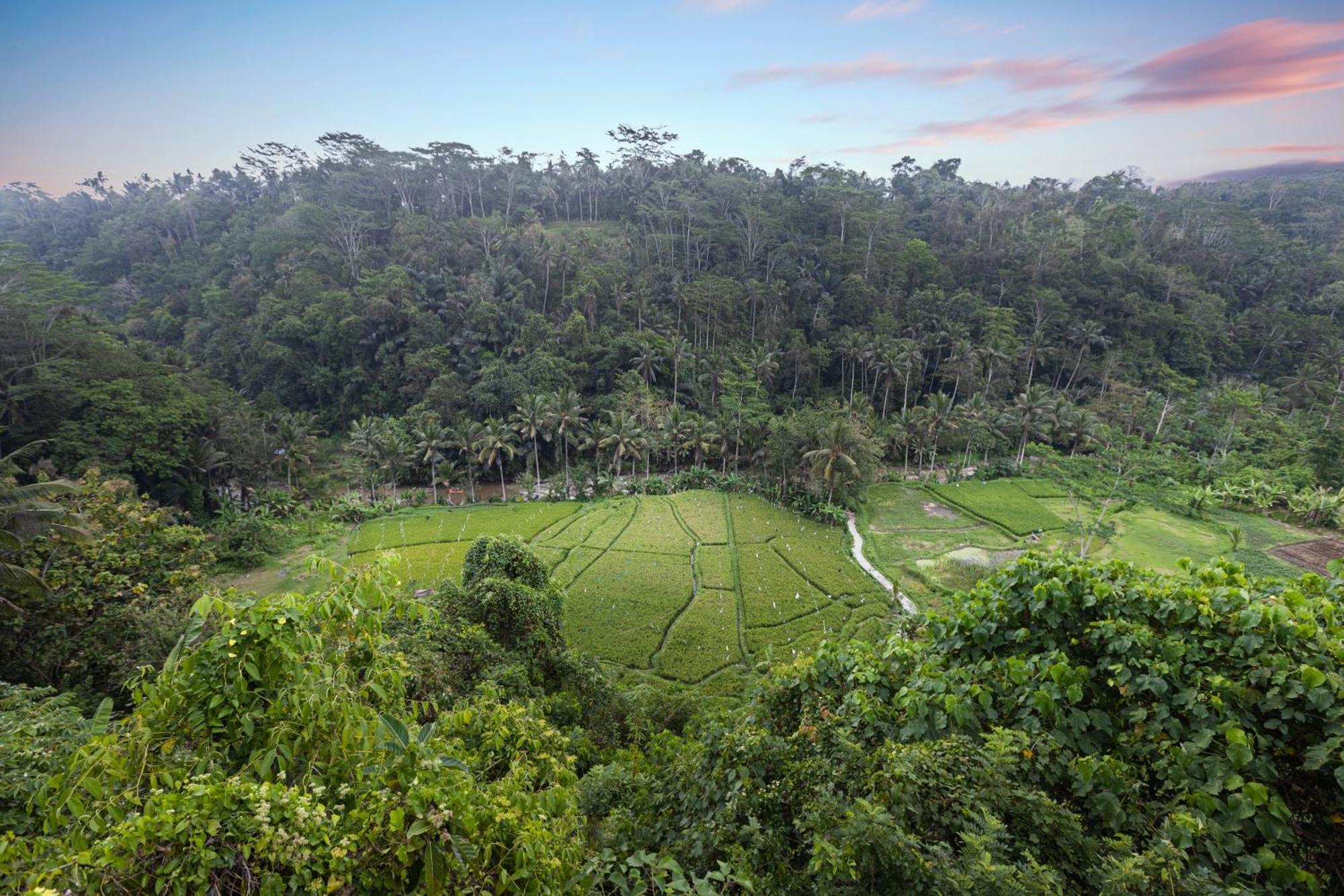 Black Penny Villas Ubud Exteriör bild
